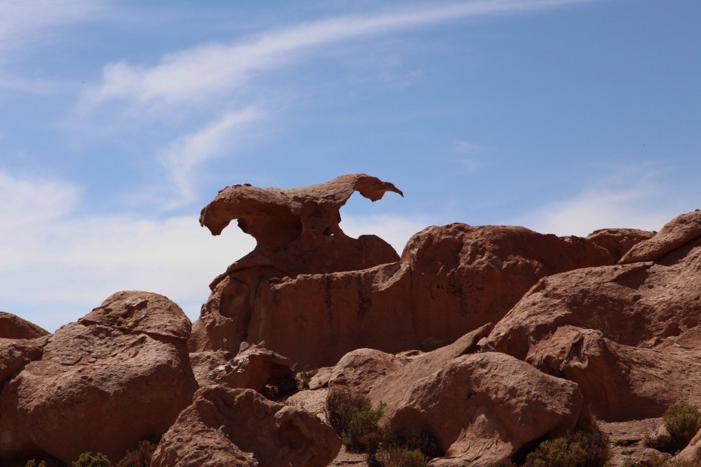 Headless condor