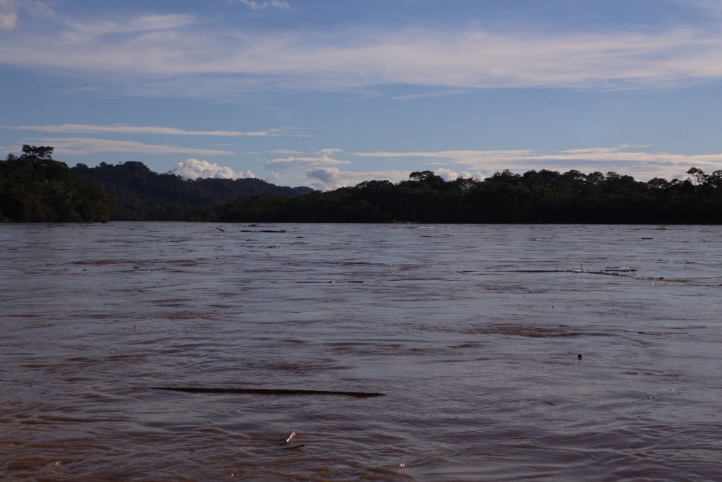 River debris